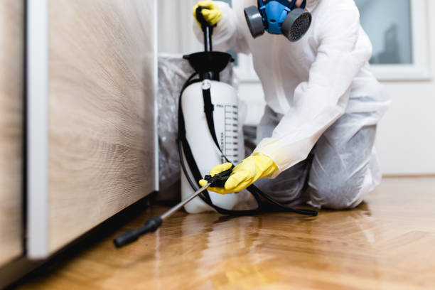 Best Pest Control Near Me  in Boulder, MT
