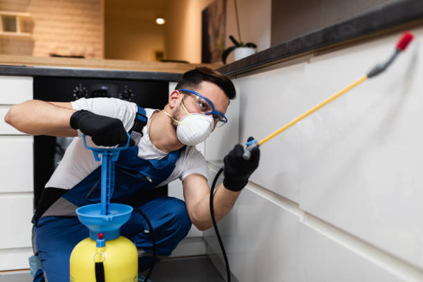 Best Flea Control Services  in Boulder, MT