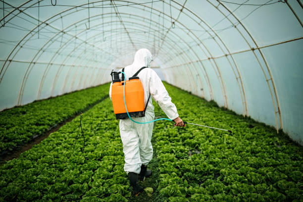 Best Residential Pest Control  in Boulder, MT