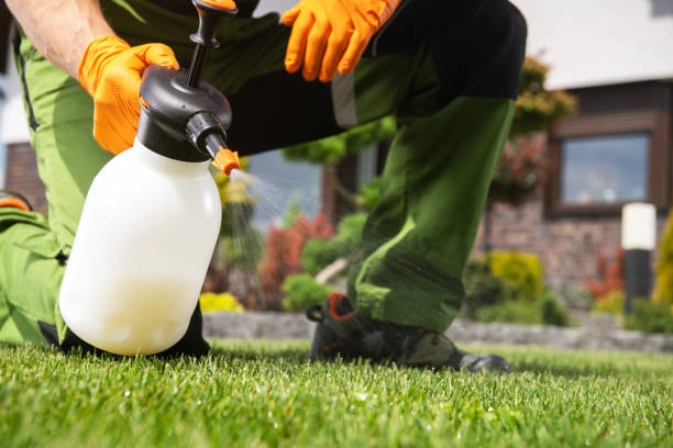 Best Mosquito Control Services  in Boulder, MT