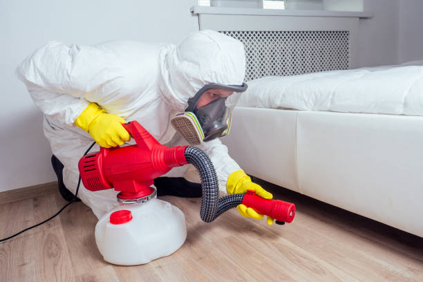 Best Cockroach Control Services  in Boulder, MT