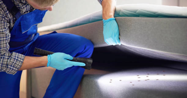Best Best Pest Control Companies  in Boulder, MT