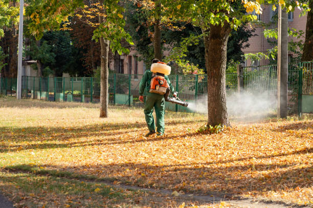 Flea Control Services in Boulder, MT