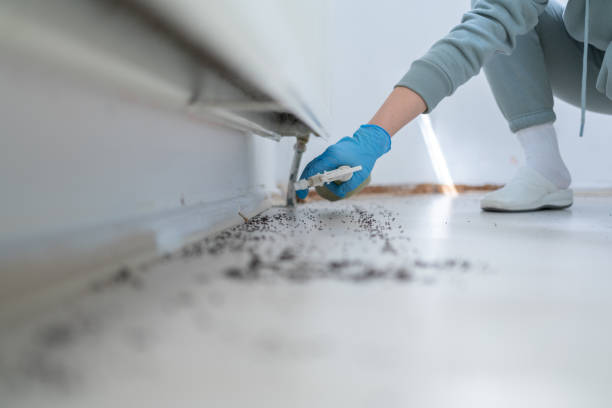 Best Cockroach Control Services  in Boulder, MT